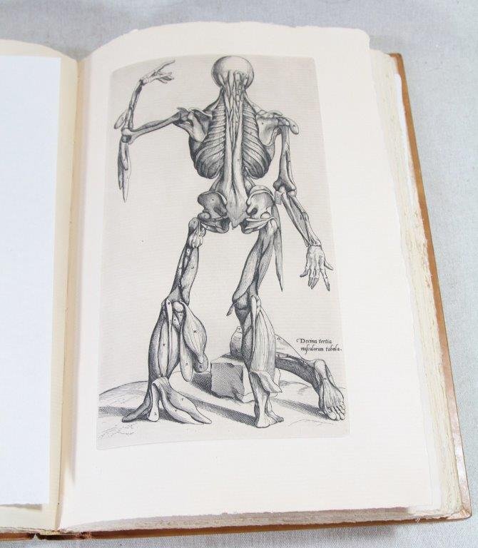 Andreas Vesalius , "Imperatoris medici, humani corporis", Edition limité, 1964-photo-2