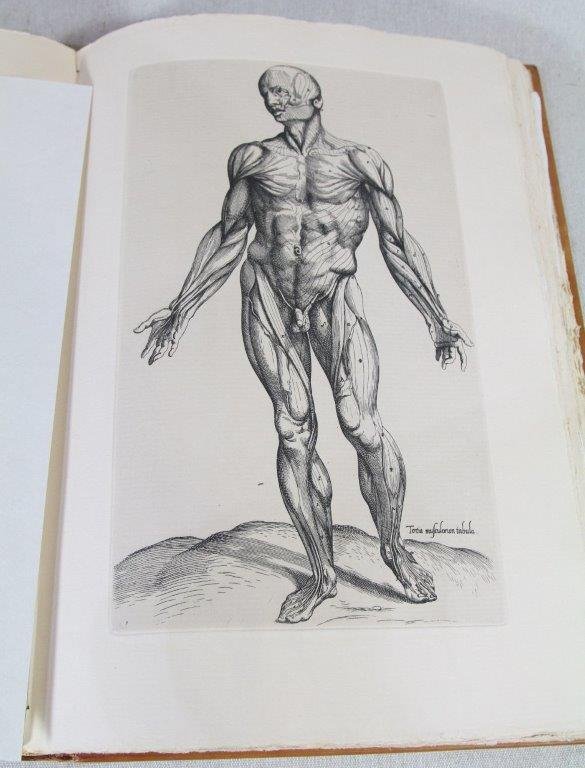 Andreas Vesalius , "Imperatoris medici, humani corporis", Edition limité, 1964-photo-8