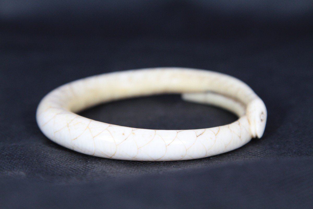 Boar Tooth Snake Bracelet, Vanuatu Oceania Currency, 20th Century-photo-3