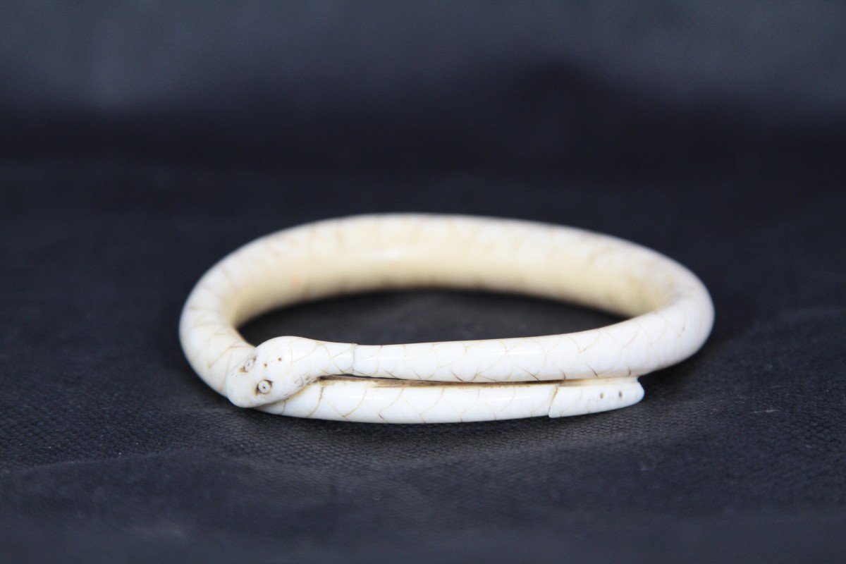 Boar Tooth Snake Bracelet, Vanuatu Oceania Currency, 20th Century