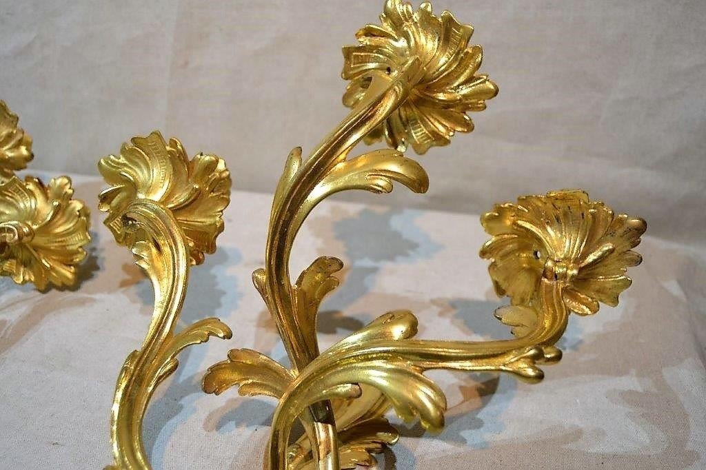 Pair Of Gilt Bronze Wall Lights, Louis XV Period, Eighteenth-photo-3