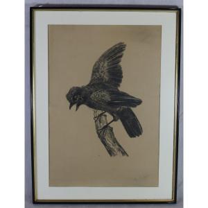 Raymond Bigot (1872-1953), Gravure " Le Geai ", Signé, XXe