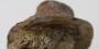 1396546-alb-66dacc3c227a1.jpg