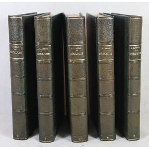 [ZOOLOGIE]. LAMEERE (Auguste). Précis de zoologie. XXe