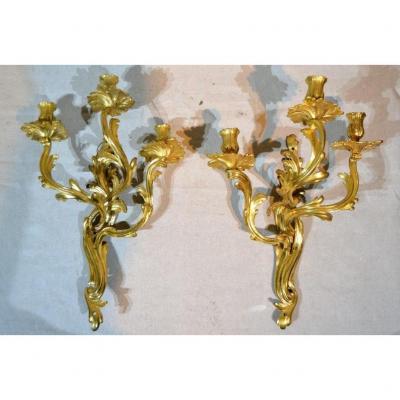 Paire d'Appliques En Bronze Doré d'époque Louis XV, XVIIIe