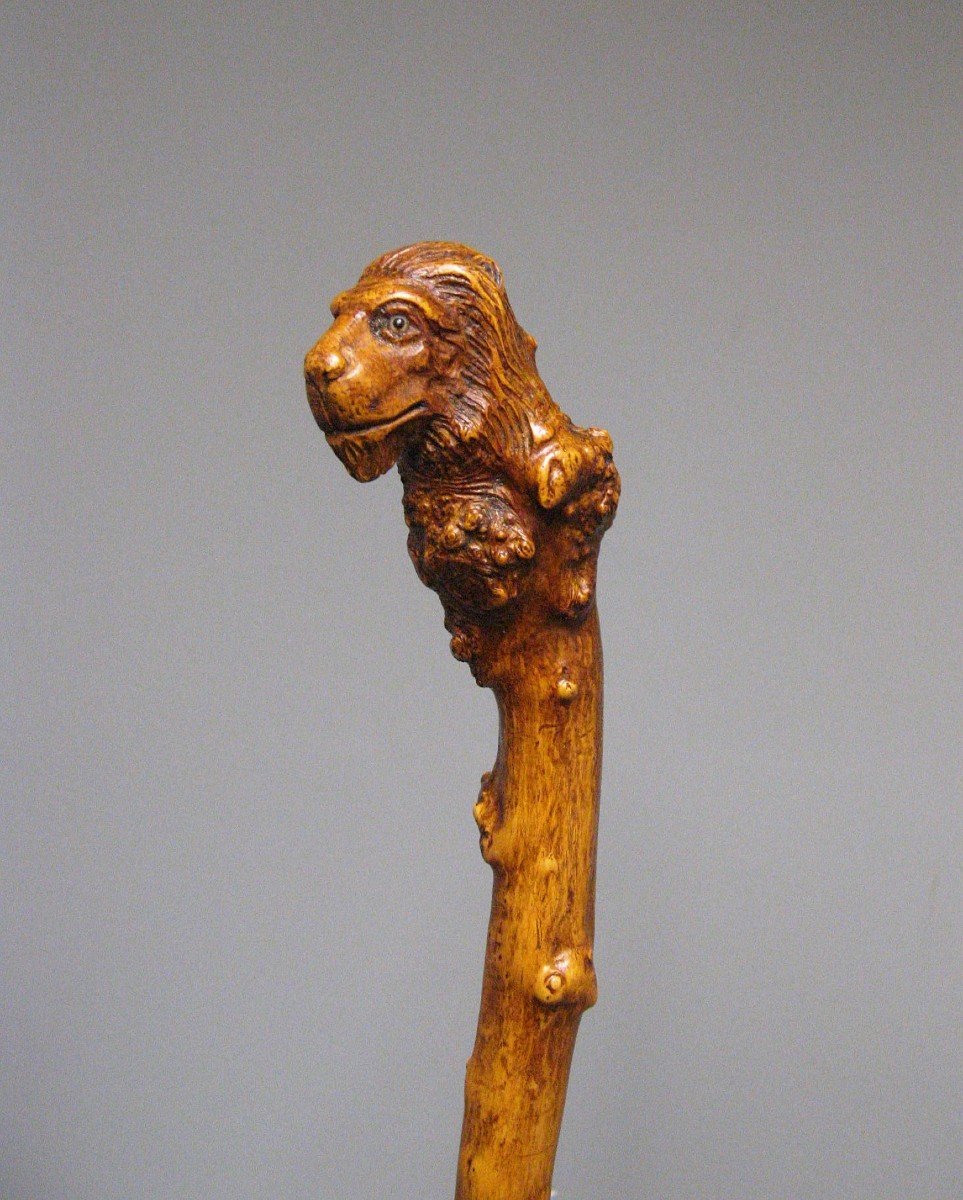 Monoxyl Cane In Boxwood Carved With A Lion's Head. 19th Century Popular Art.-photo-2