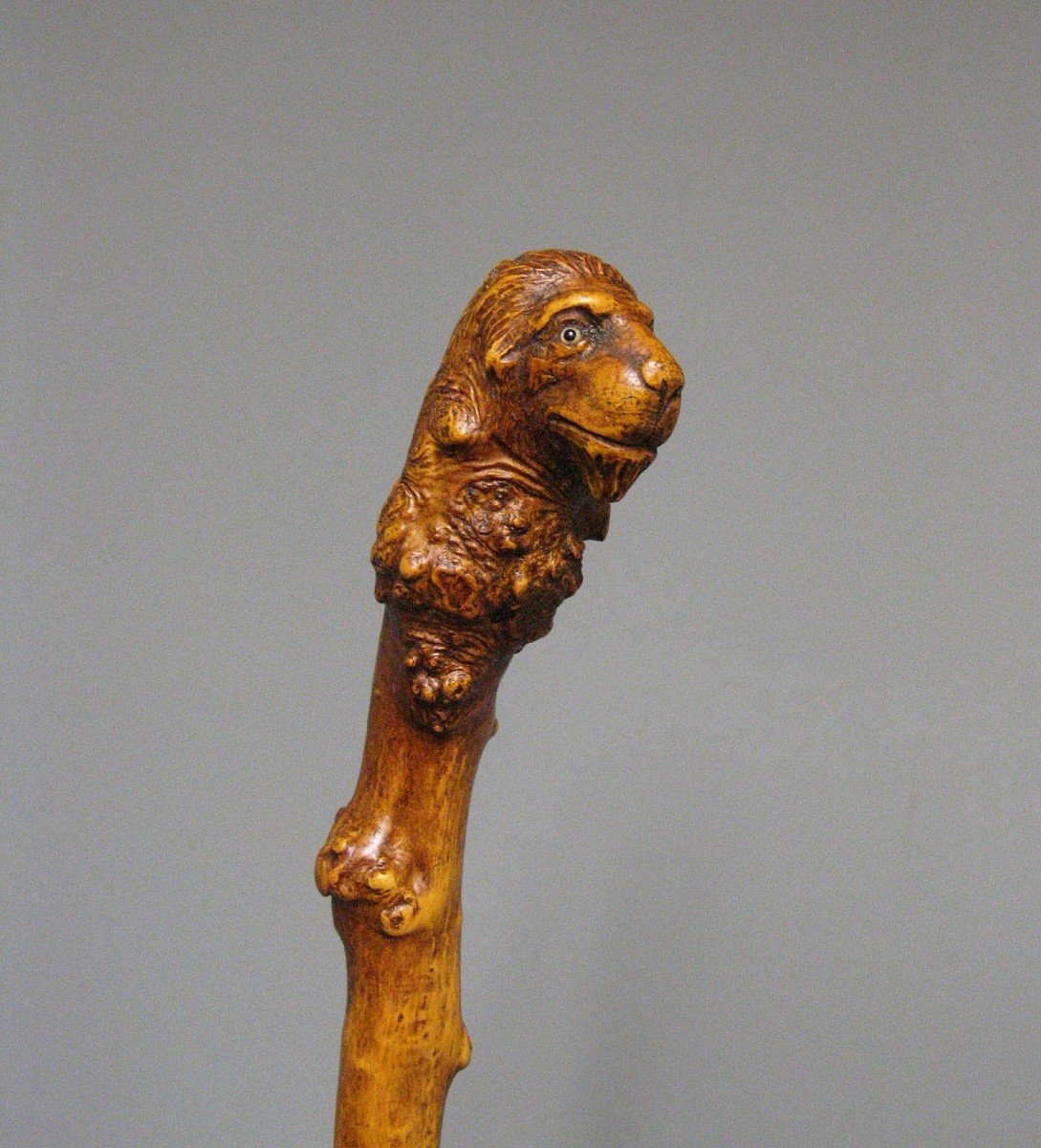 Canne Monoxyle En Buis Sculpté A Tête De Lion. Art Populaire XIXe.-photo-3