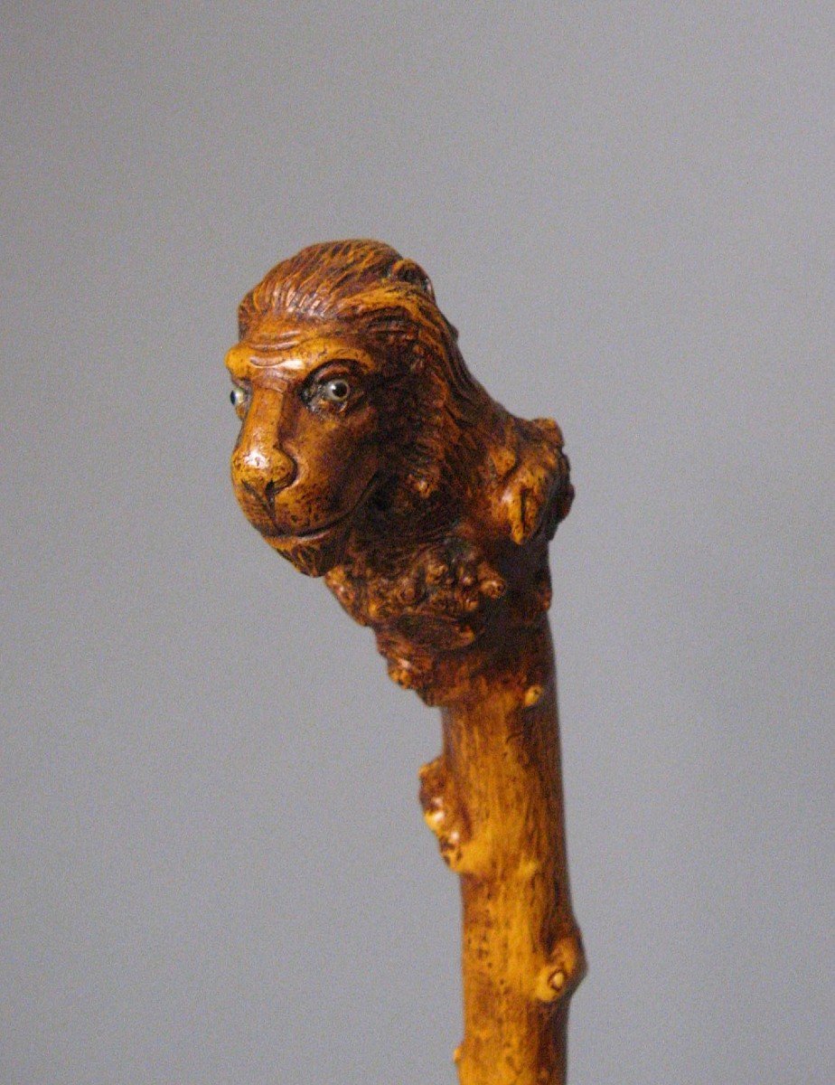 Monoxyl Cane In Boxwood Carved With A Lion's Head. 19th Century Popular Art.-photo-4