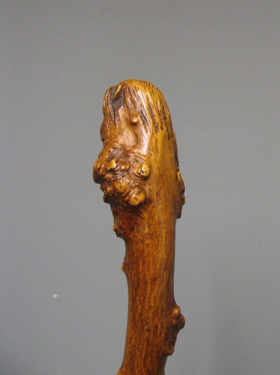 Monoxyl Cane In Boxwood Carved With A Lion's Head. 19th Century Popular Art.-photo-1