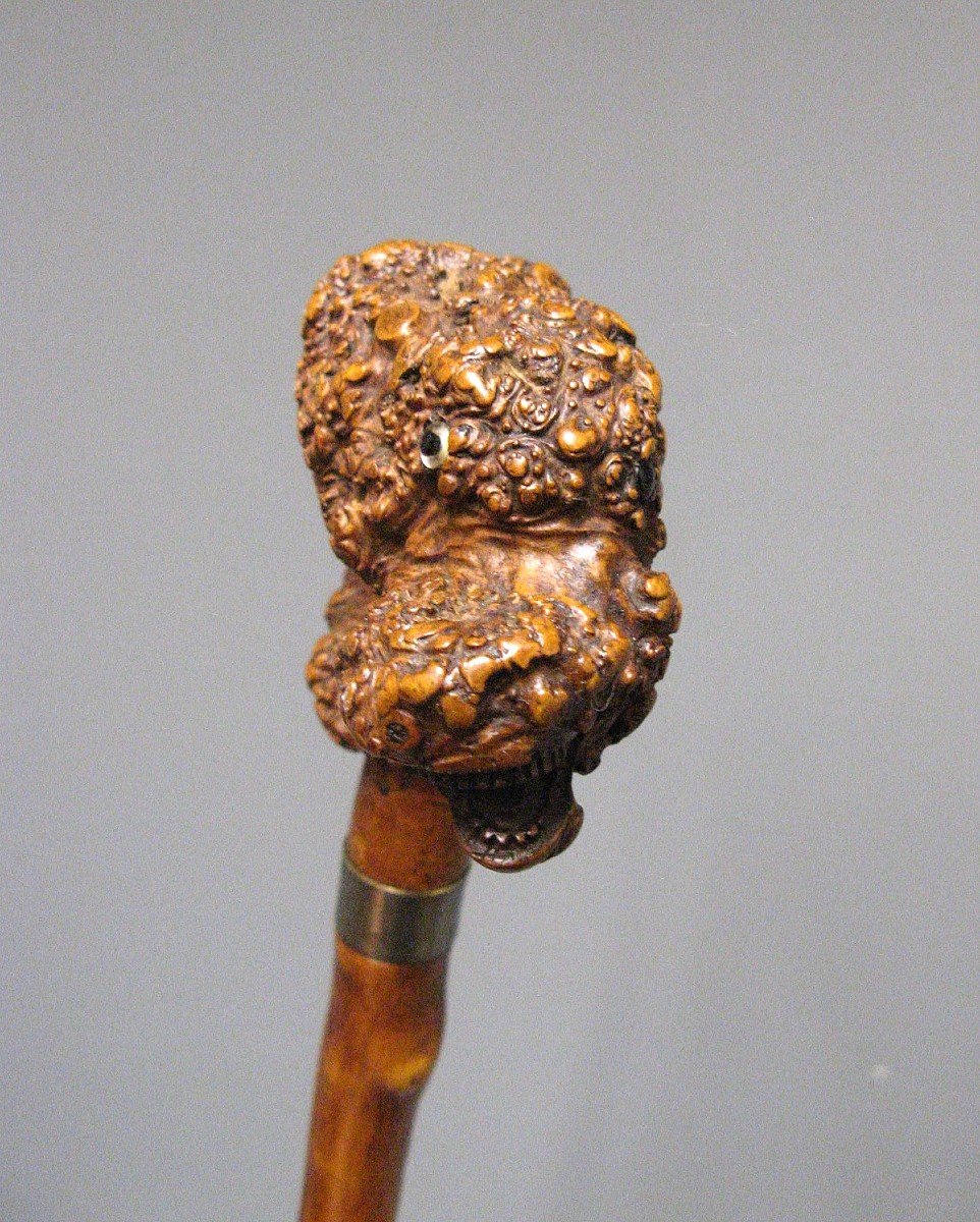 Carved Root Cane. Folk Art Cane With Monster Head.-photo-3