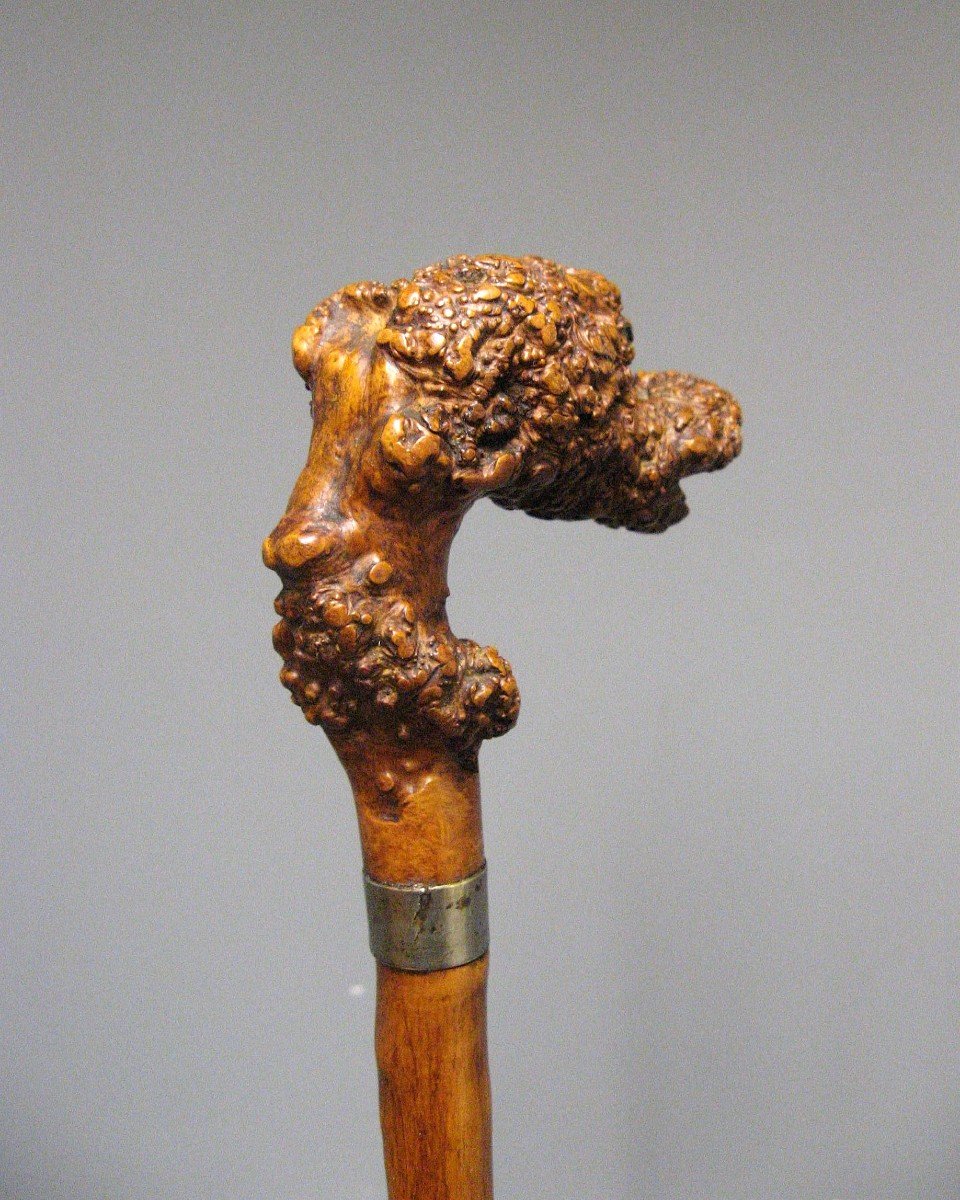 Carved Root Cane. Folk Art Cane With Monster Head.-photo-4