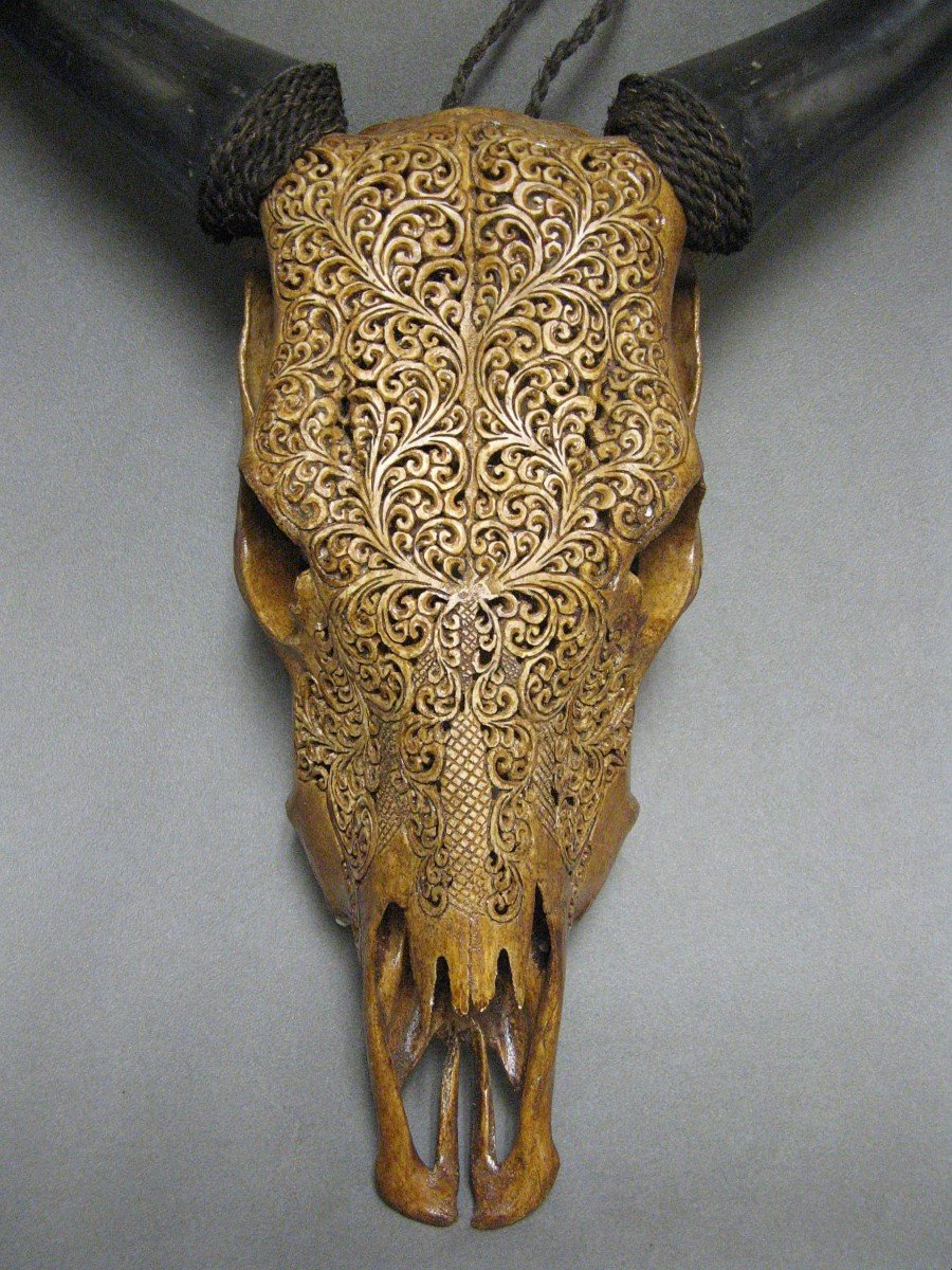 Carved Buffalo Skull.-photo-2