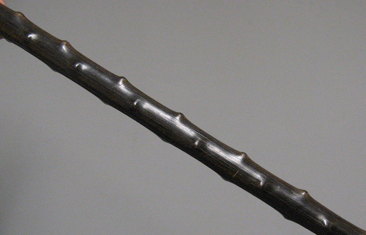 Greyhound Head Monoxyl Horn Cane.-photo-3