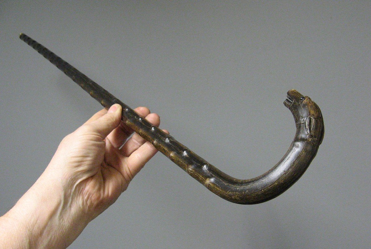 Greyhound Head Monoxyl Horn Cane.-photo-1
