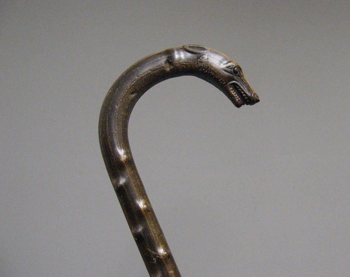 Greyhound Head Monoxyl Horn Cane.