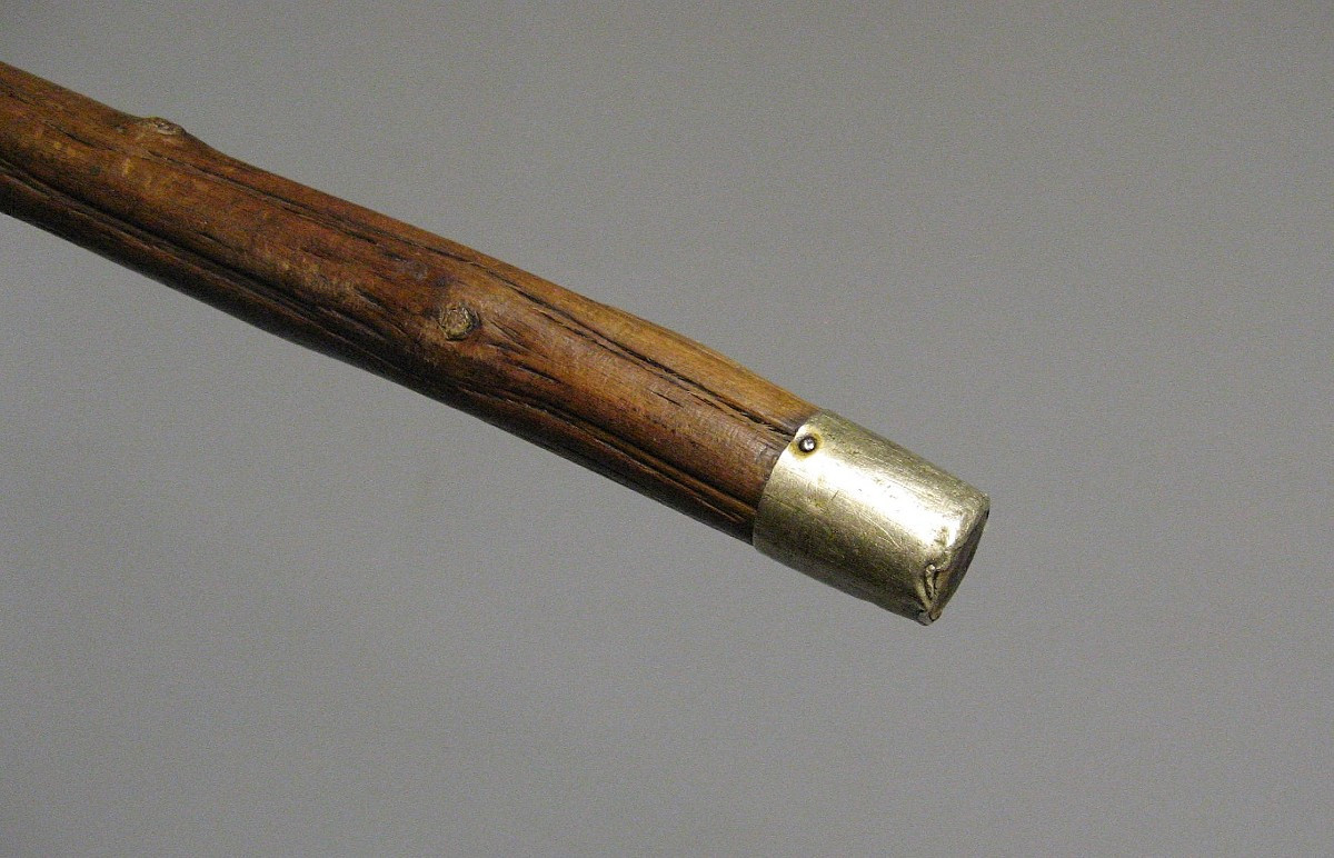 Warthog Tusk And Bramble Wood Cane, 19th Century.-photo-1
