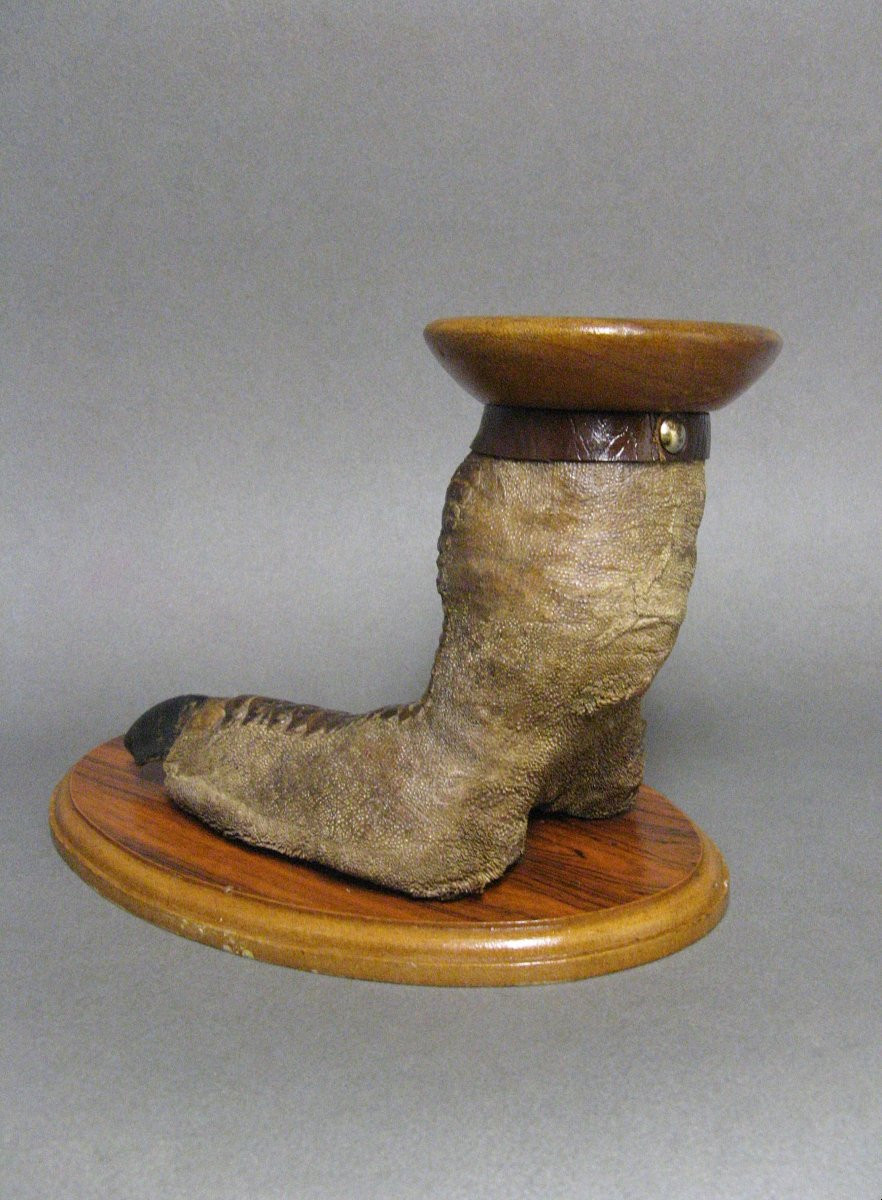 Patte d'Autruche. Cabinet De Curiosité. Taxidermie.-photo-4