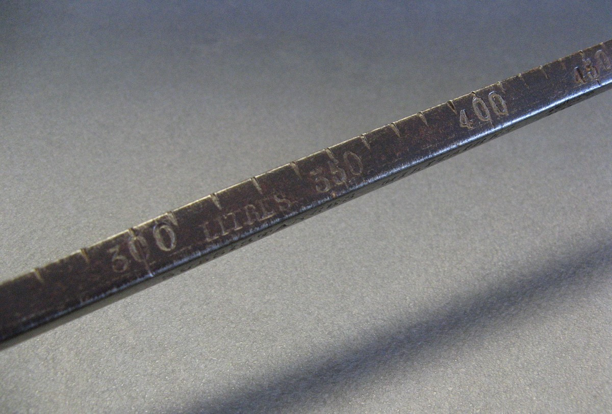 Military Pigeon, 19th Century. Velte.-photo-4