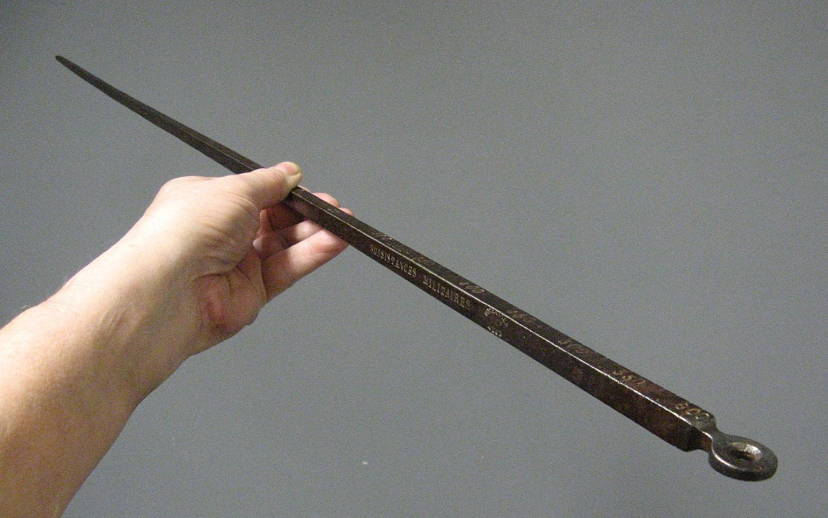 Military Pigeon, 19th Century. Velte.-photo-1