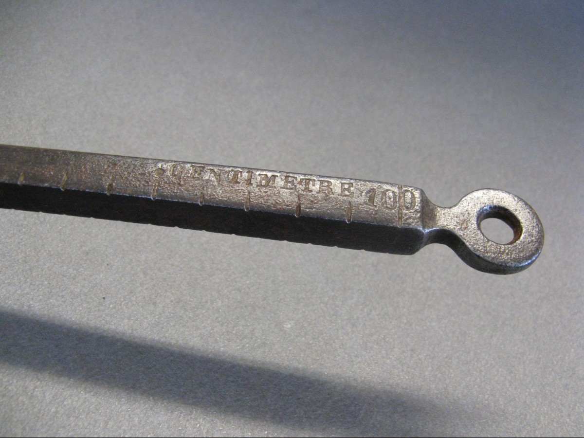 Military Pigeon, 19th Century. Velte.