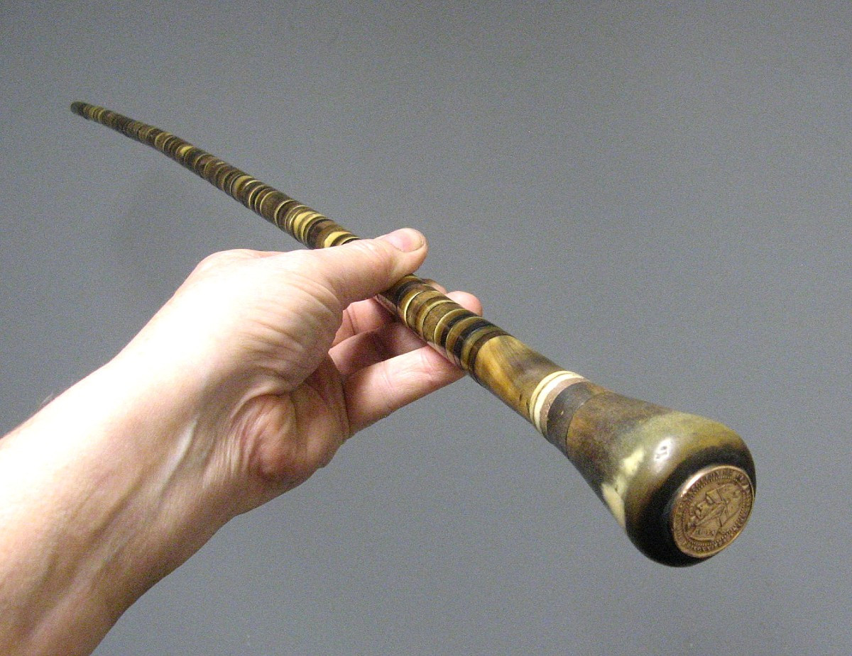 19th Century Horn Opinion Cane.-photo-1
