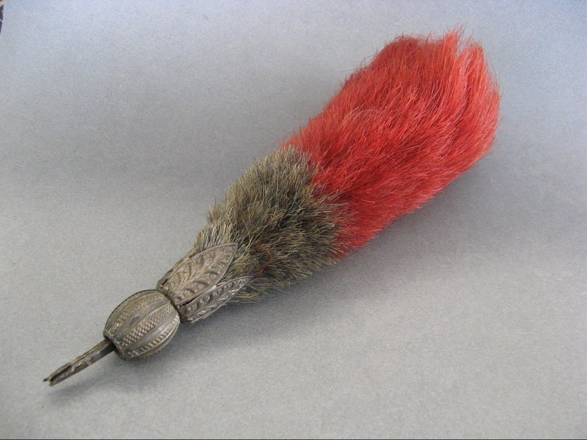 Tulip And Helmet Plume.  Restoration - July Monarchy.-photo-3