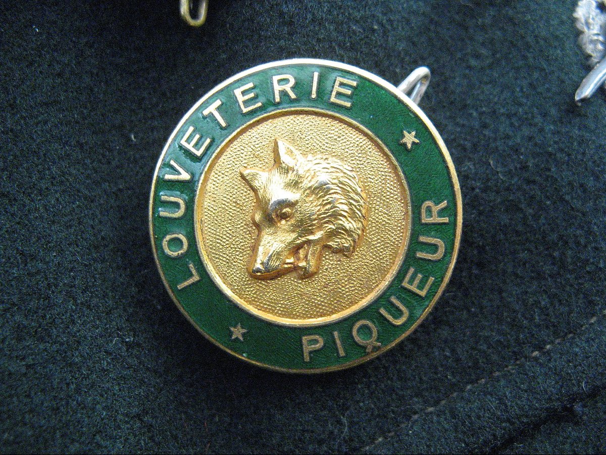 Water And Forestry / Forest Rangers Uniform – Early 20th Century.-photo-8