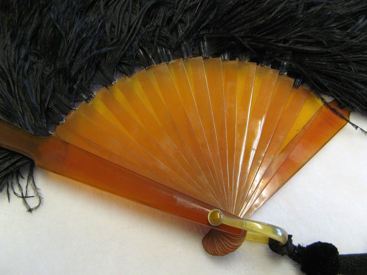 Large Fan In Blonde Tortoise Shell And Black Ostrich Feathers.-photo-3