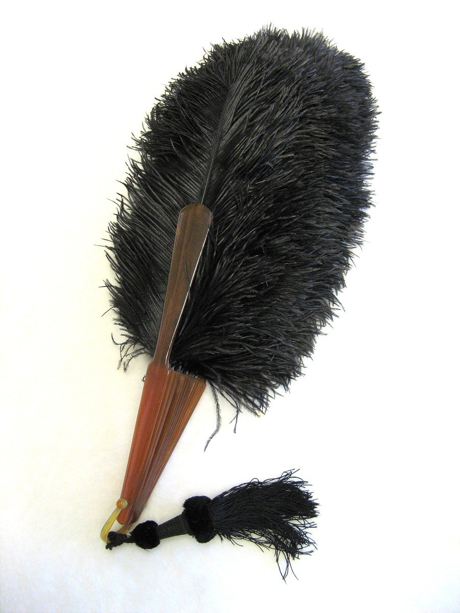 Large Fan In Blonde Tortoise Shell And Black Ostrich Feathers.-photo-4