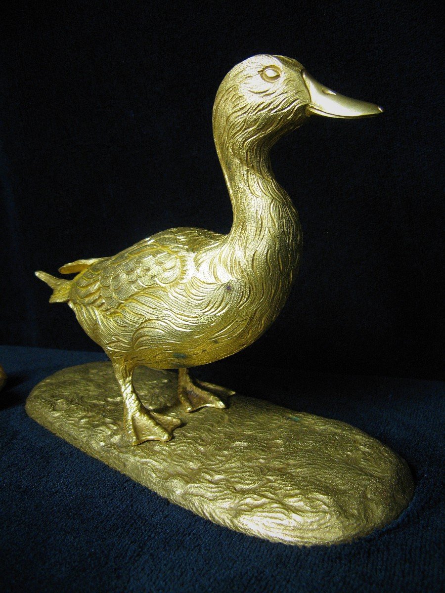 Animal Bronze. Mallard Duck. Gilt Bronze Early 20th Century. Hunt.