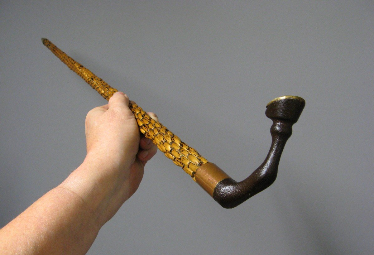 Nineteenth Defense Cane.-photo-3