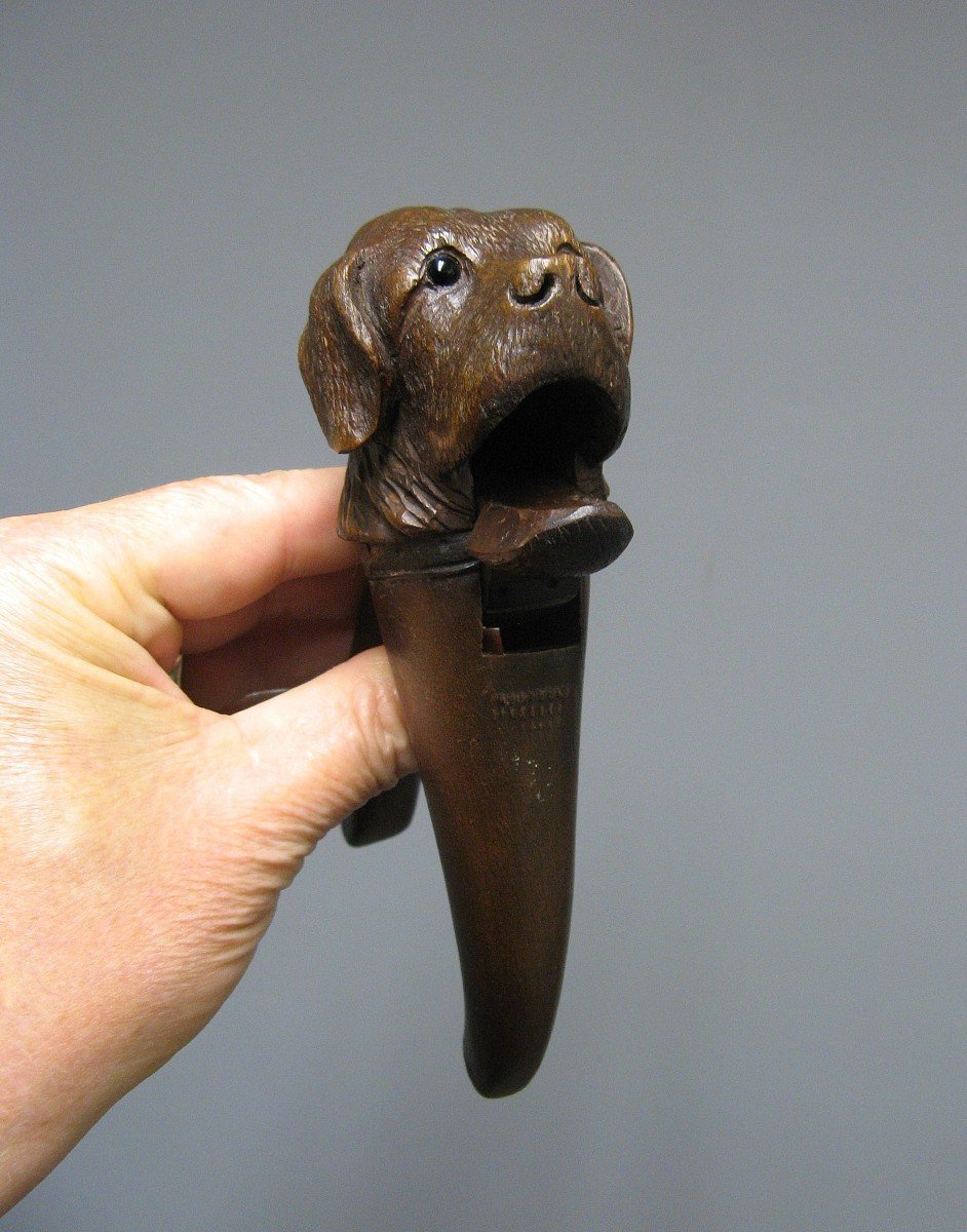 Zoomorphic Nutcracker A Dog's Head - Nutcracker - Nutcracker - Black Forest.-photo-3