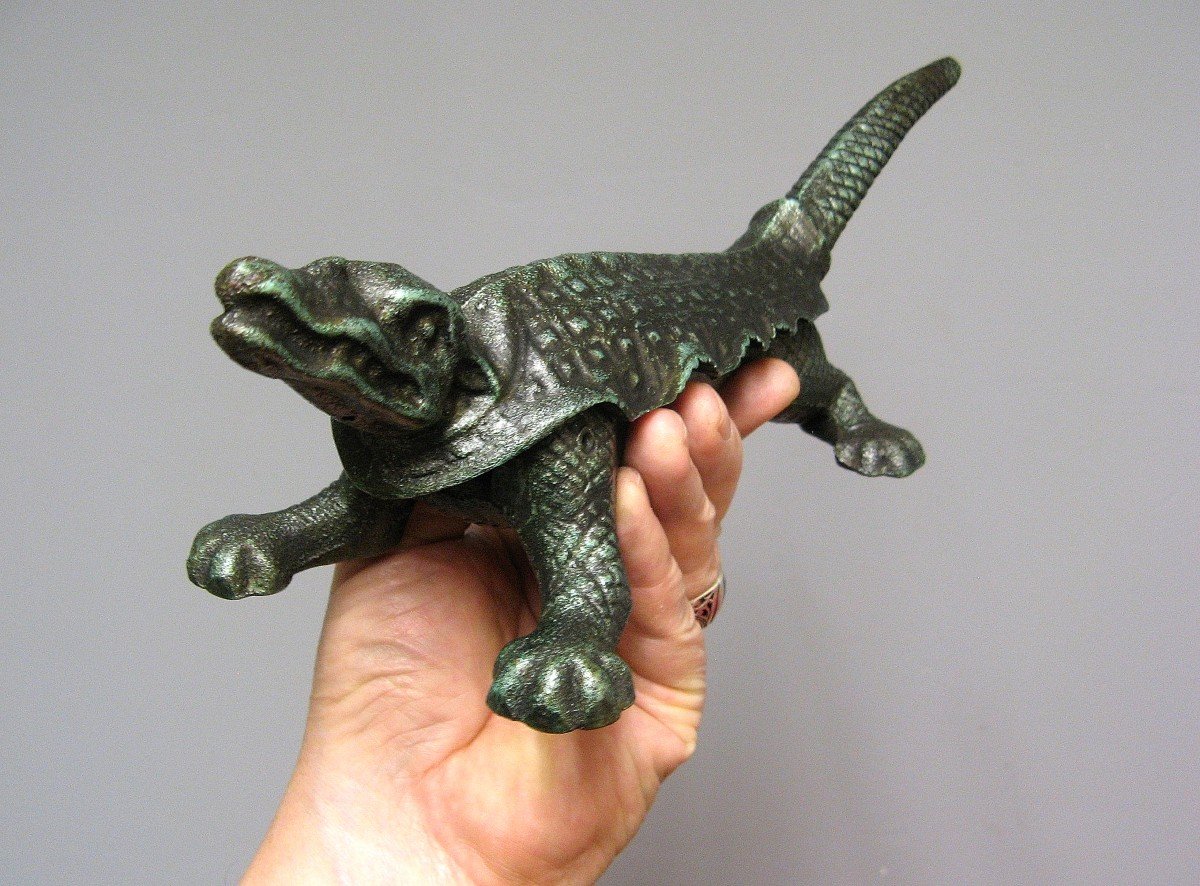 Mâche Bouchon Crocodile De Pharmacie Fin XIXe.-photo-2