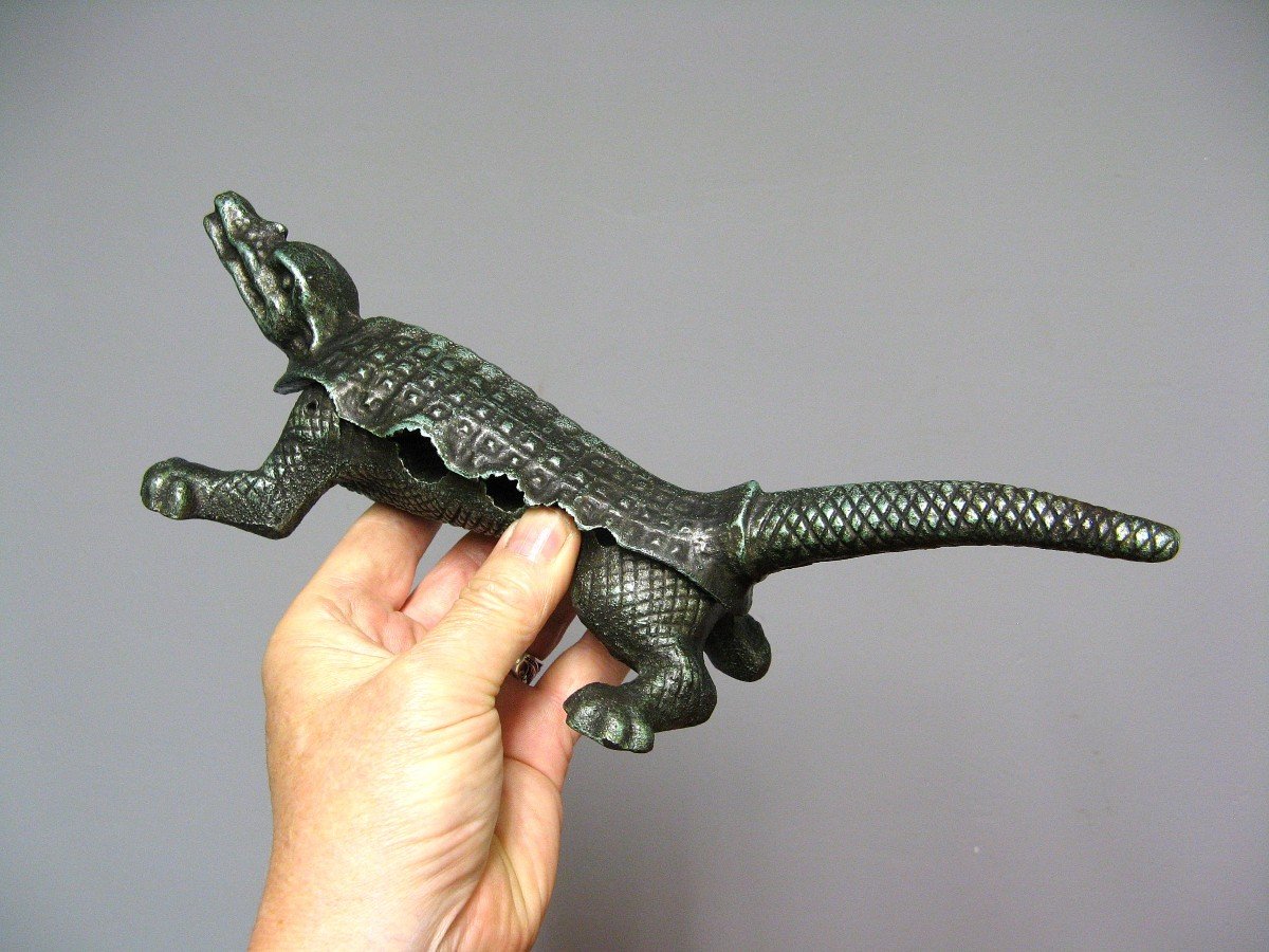 Mache Crocodile Stopper From Pharmacy Late Nineteenth.-photo-4