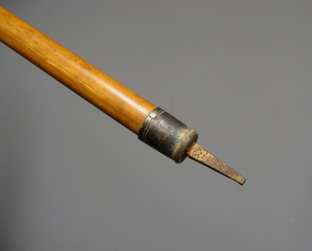 Canne Tête De Mort. Guerre 14/18.-photo-3