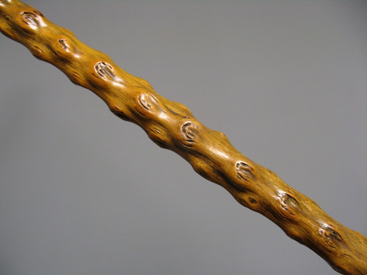 Cane With Knob In Deer Antler.-photo-4