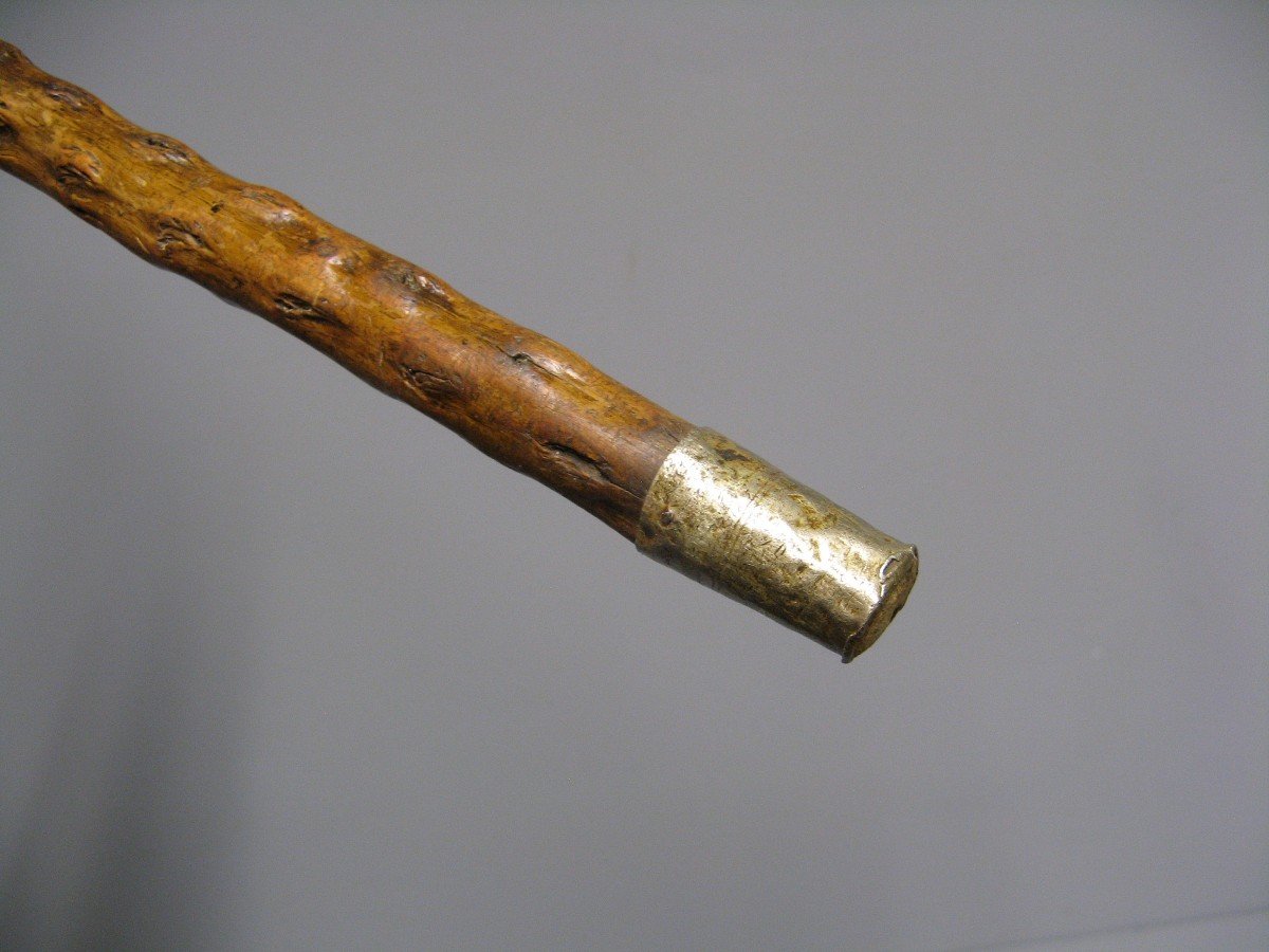 Cane With Knob In Deer Antler.-photo-1