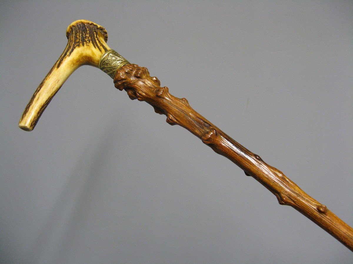 Cane With Knob In Deer Antler.-photo-4