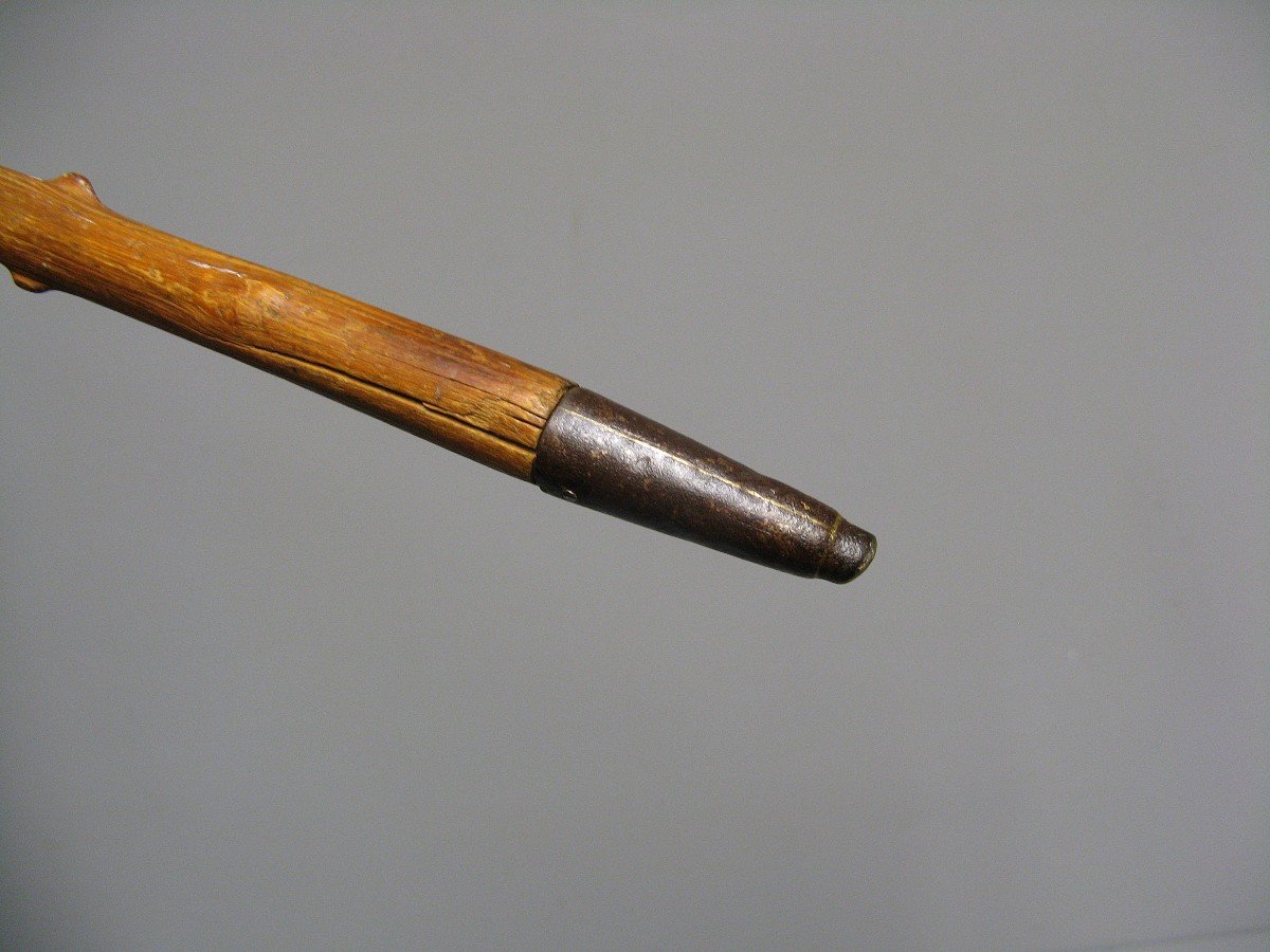 Cane With Knob In Deer Antler.-photo-2