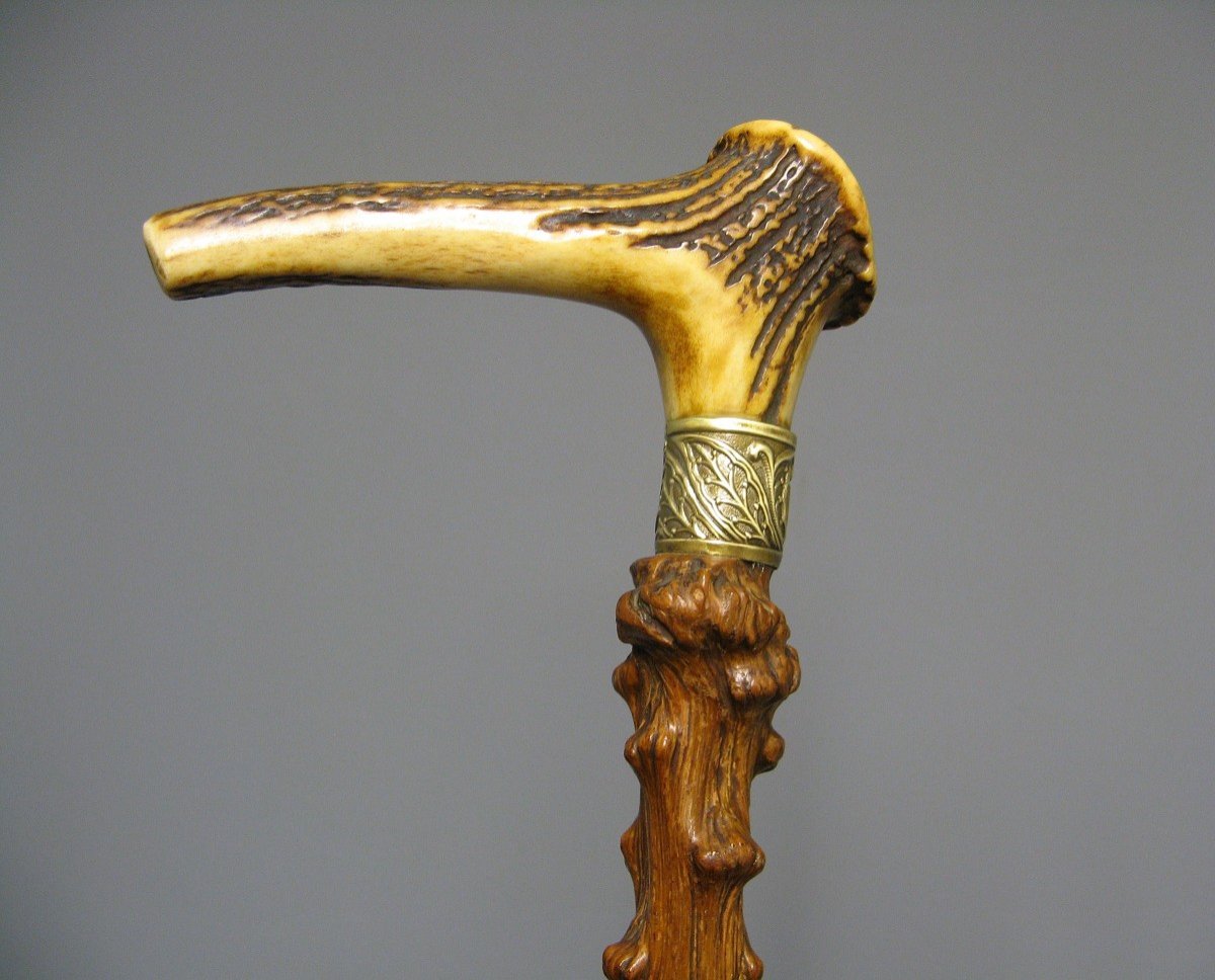 Cane With Knob In Deer Antler.