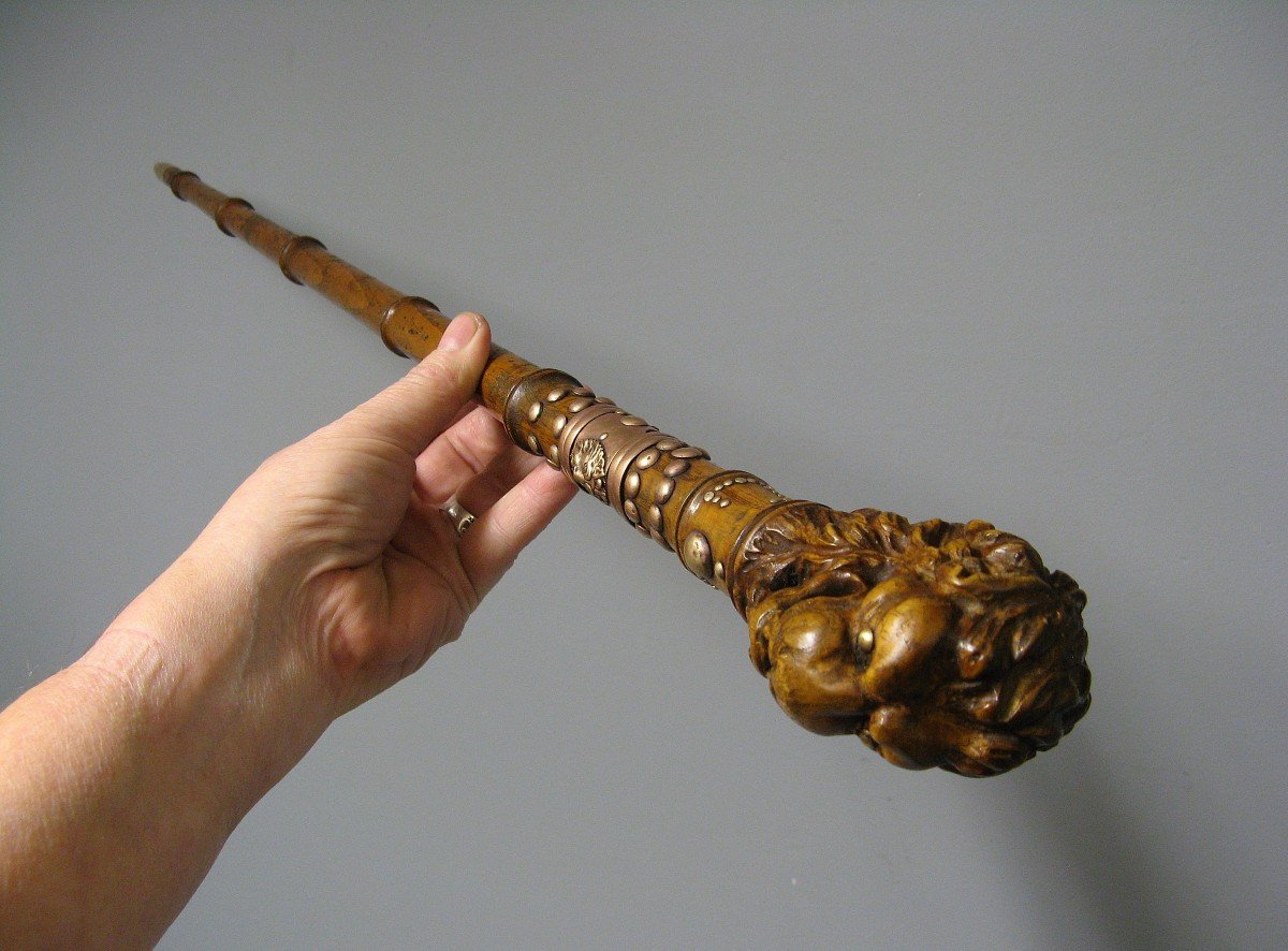 Cane With Knob Representing A Lion's Head.-photo-3