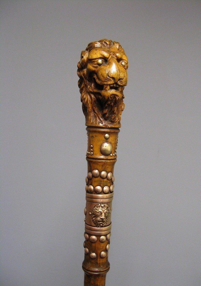 Cane With Knob Representing A Lion's Head.-photo-4