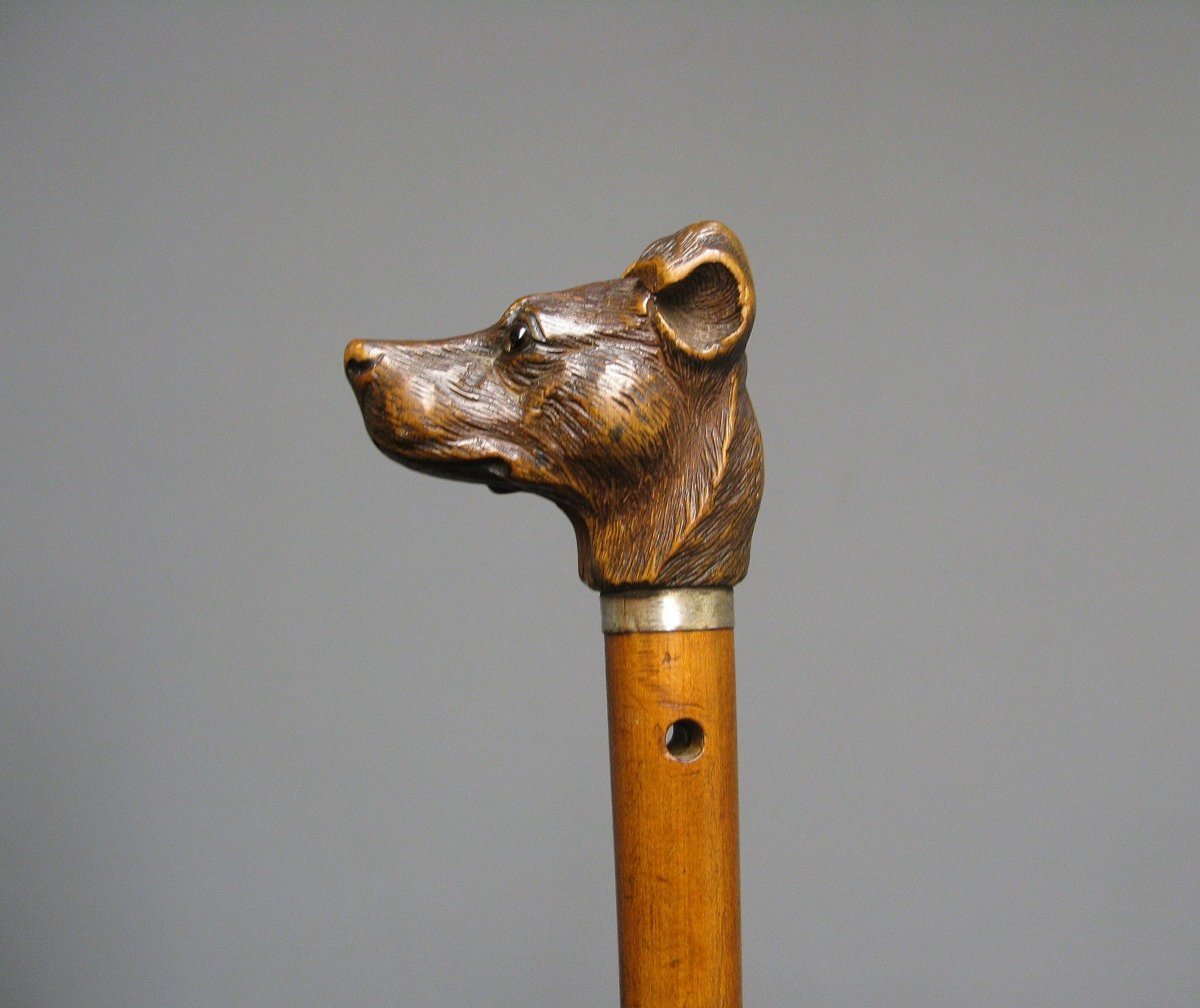 Cane With Carved Dog Head Knob.-photo-2