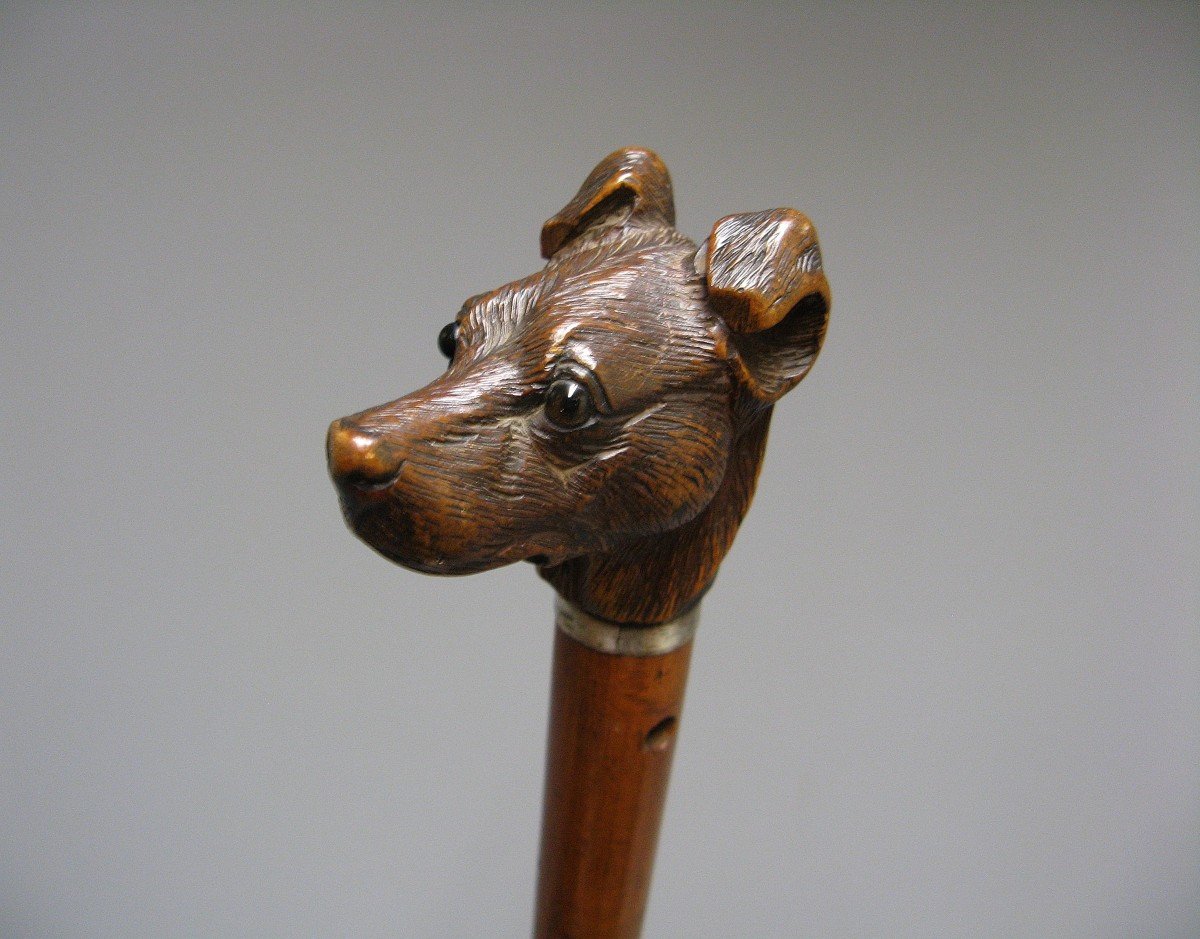 Cane With Carved Dog Head Knob.-photo-3