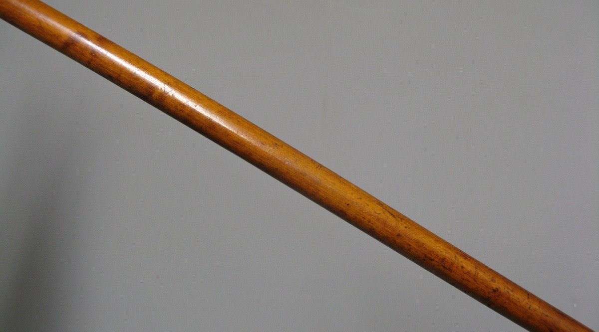 Cane With Carved Dog Head Knob.-photo-1