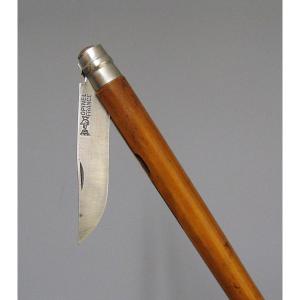 Gadget Cane With Folding Knife. Opinel.