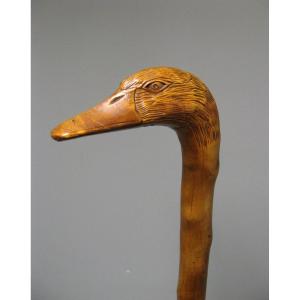 Canne Monoxyle En Buis Sculpté A Tête De Canard. Art Populaire XIXe. Chasse.