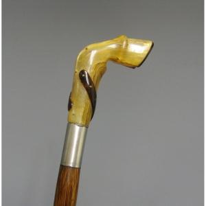 Canne pommeau en corne en forme de paturon XIXe.