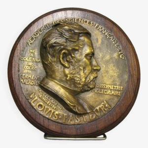 Médaillon En Bronze Louis Pasteur Par Ringel d'Illzach.