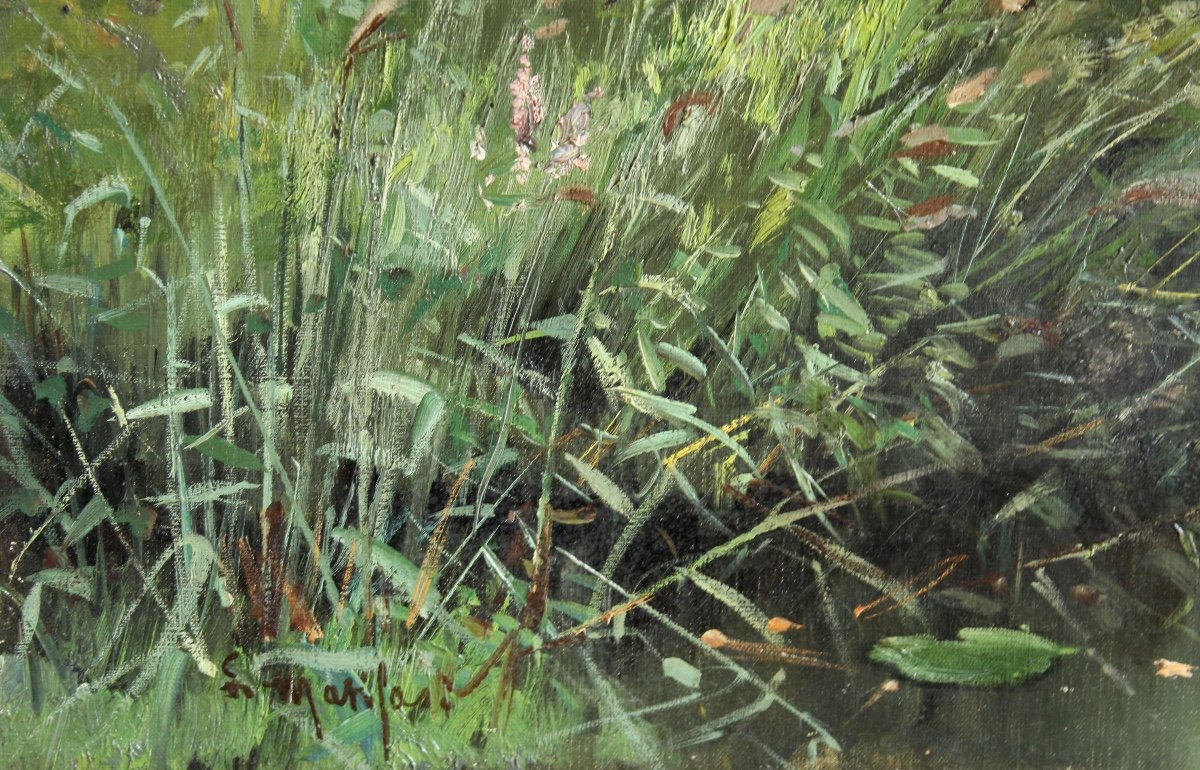 Louis Rémy Matifas-photo-2